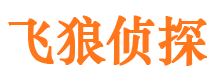 临沧寻人公司